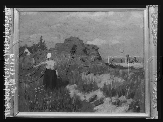 Glassplate og negativ film