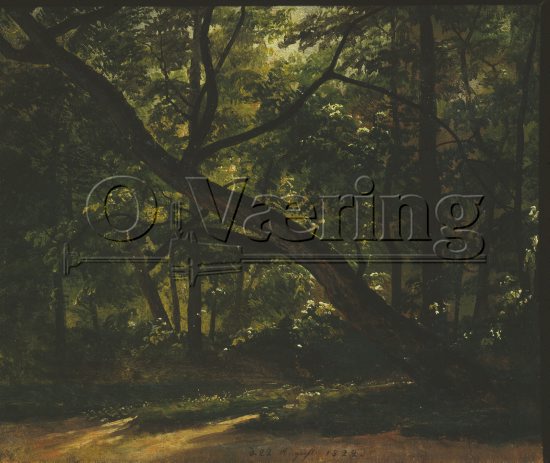 Johan Christian Dahl (1788-1857)
Size: 22x32 cm
Location: Private, 
Photo: O.Væring 