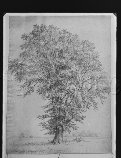 Glassplate