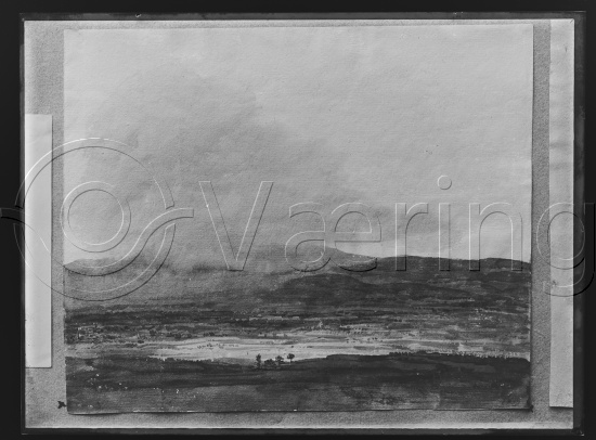 Glassplate og negativ film / eske med Prof Dahls malerier