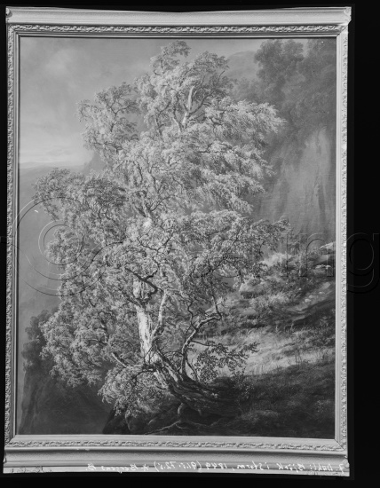 Glassplate og negativ film