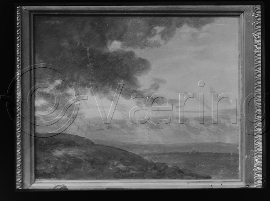Glassplate og negativ film