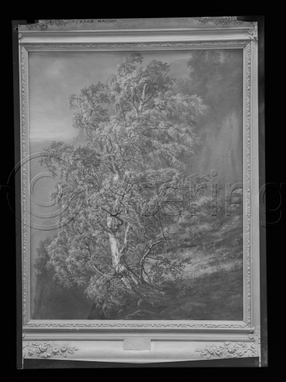 Glassplate og negativ film