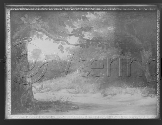 Glassplate og negativ film