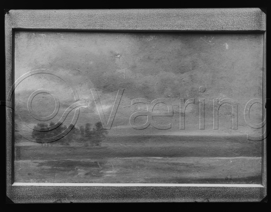 Glassplate og negativ film