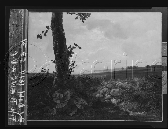 Glassplate og negativ film