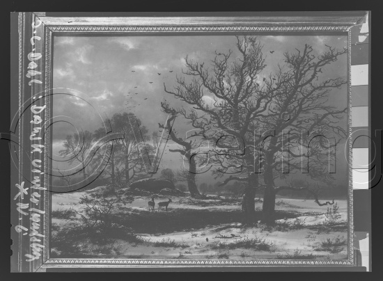 Glassplate og negativ film