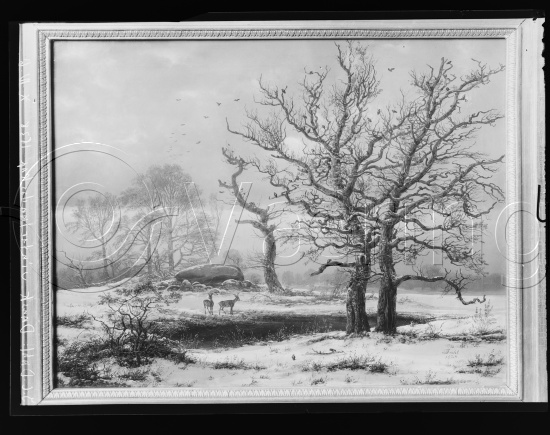 Glassplate og negativ film
