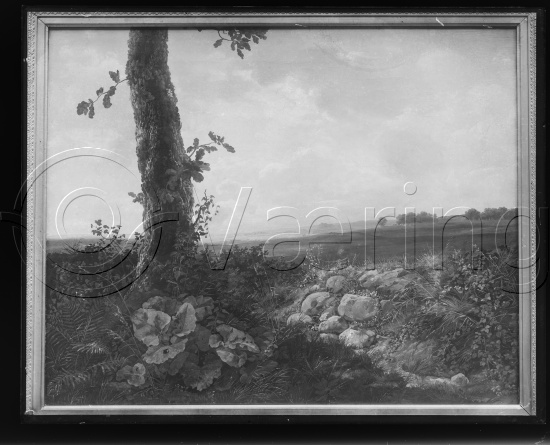Glassplate
