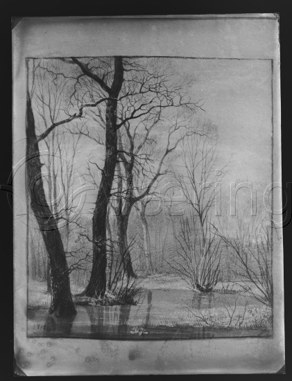 Glassplate og negativ film