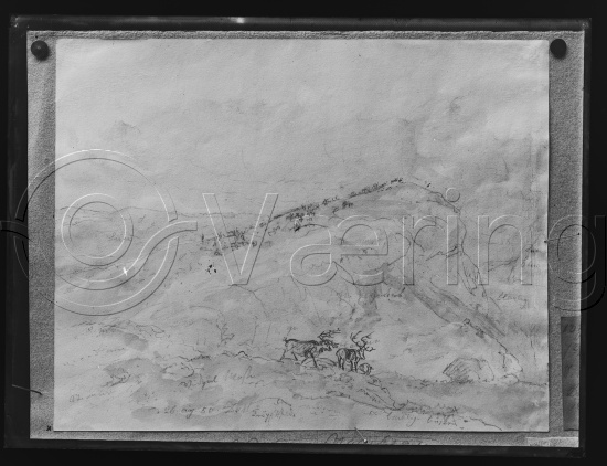 Glassplate og negativ film