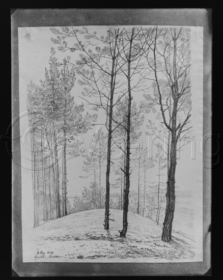 Glassplate og negativ film
