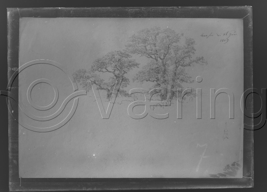 Glassplate og negativ film