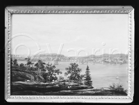 Glassplate og negativ film