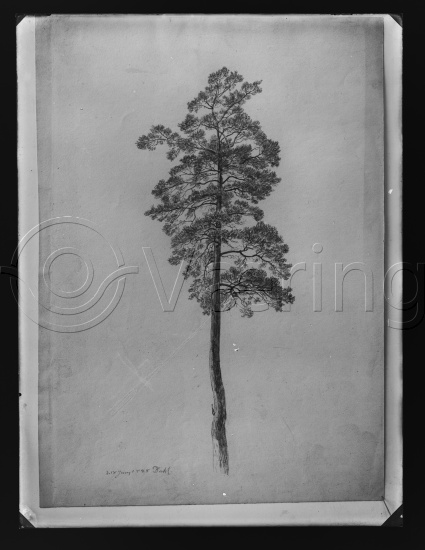 Glassplate og negativ film