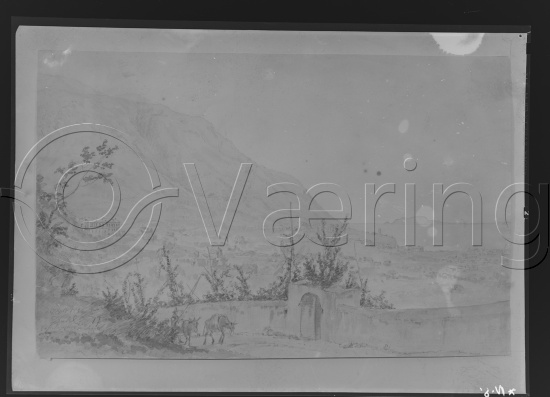 Glassplate og negativ film