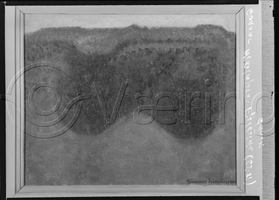 I fotoeske med ulike danske kunstnere / Gi beskjed om noen er vendt feil