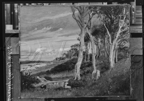 I fotoeske med ulike danske kunstnere / Gi beskjed om noen er vendt feil