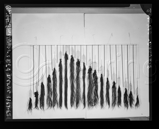 I fotoeske med ulike danske kunstnere / Gi beskjed om noen er vendt feil