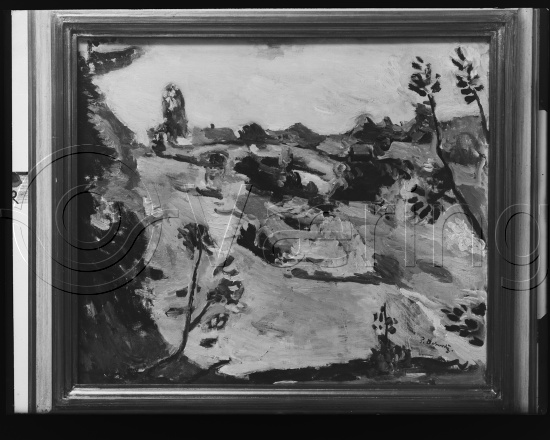 Glassplate og negativ film