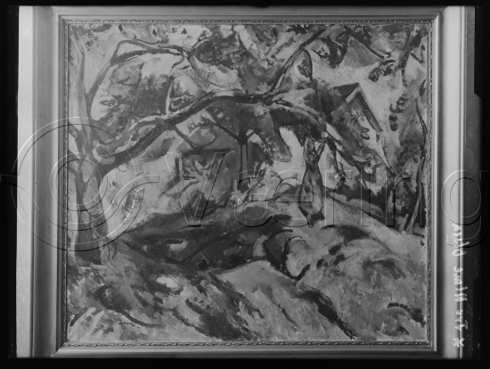 Glassplate og negativ film