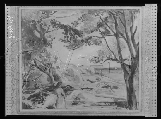 Glassplate og negativ film