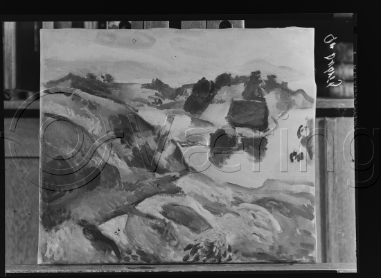 Glassplate og negativ film