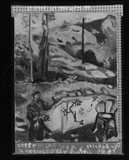 Glassplate og negativ film