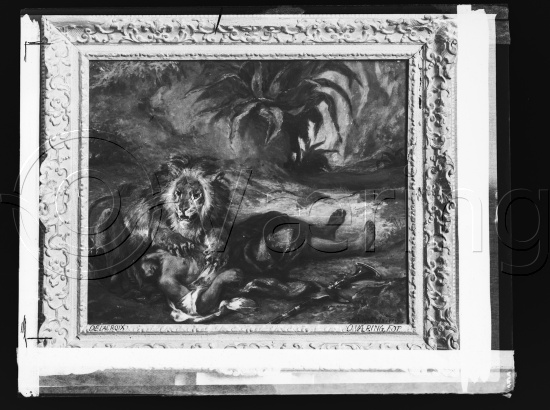 Glassplate og negativ film
