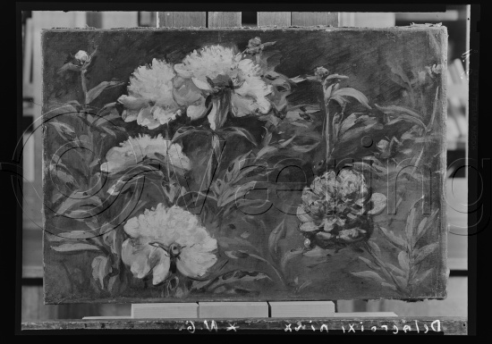 Glassplate og negativ film