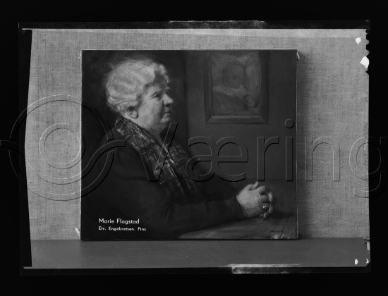 Glassplate og negativ film