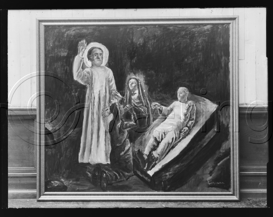 Glassplate og negativ bladfilm