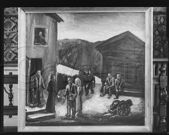 Glassplate og negativ bladfilm