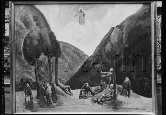 Glassplate og negativ bladfilm