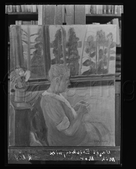 Glassplate og negativ bladfilm