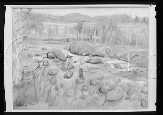 Glassplate og negativ bladfilm