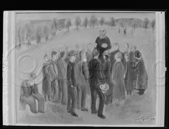 Glassplate og negativ bladfilm