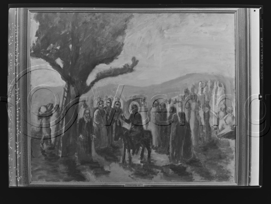 Glassplate og negativ bladfilm