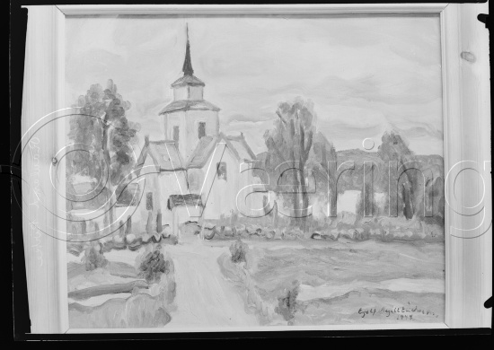 Glassplate og negativ bladfilm