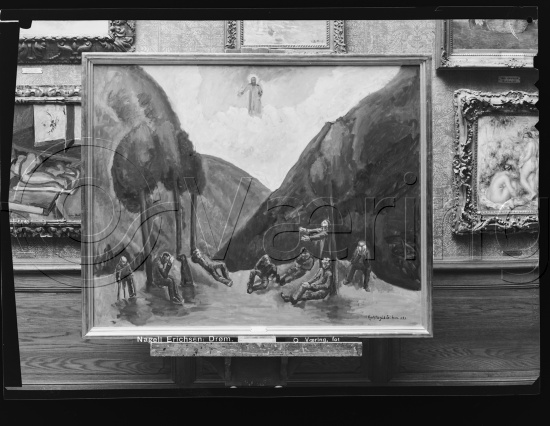 Glassplate og negativ bladfilm