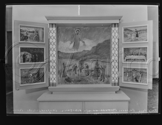 Glassplate og negativ bladfilm