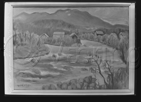 Glassplate og negativ bladfilm