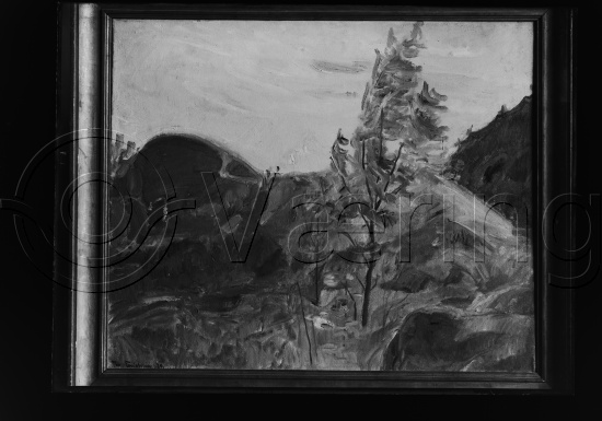 Glassplater og negativ film