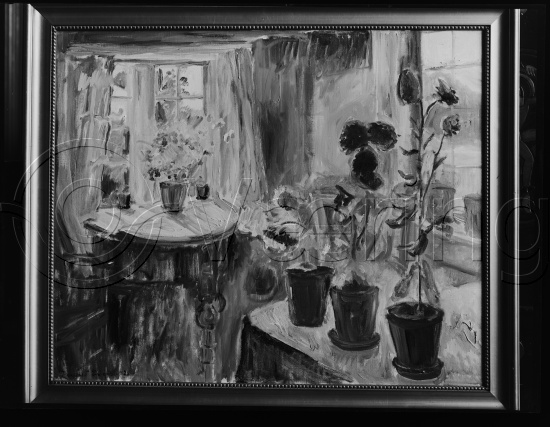 Glassplater og negativ film