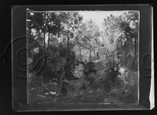 Glassplater og negativ film