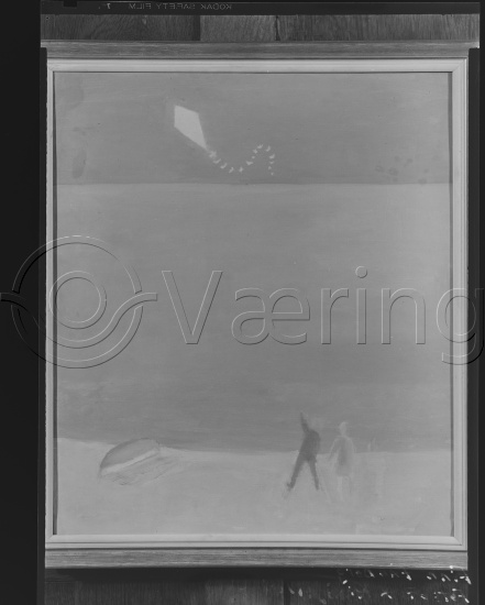Negativ film