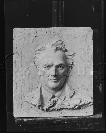 Glassplate og negativ film