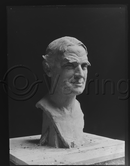 Glassplate og negativ film