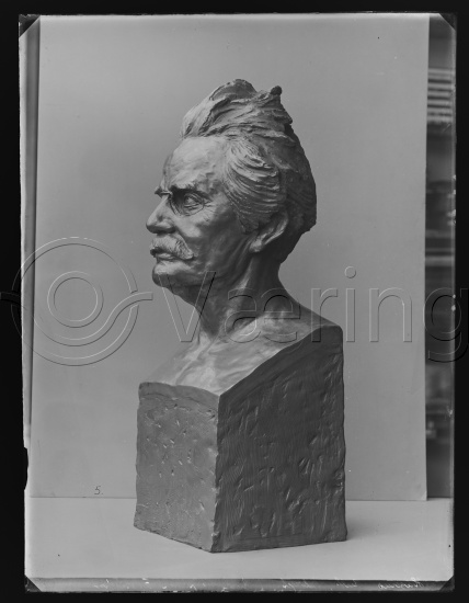 Glassplate og negativ film