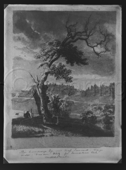 Glassplate og negativ film